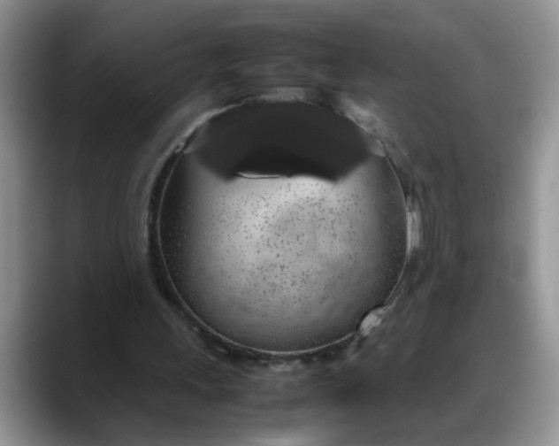 X0000088230243200705292139