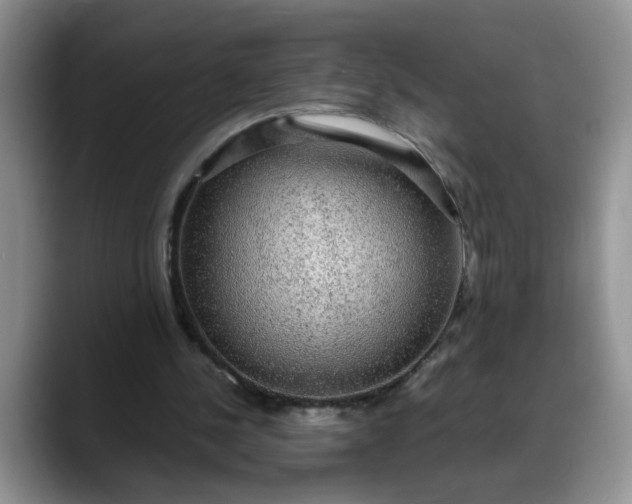 X0000088230244200705292139