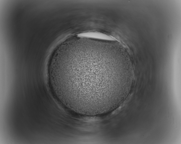 X0000088230245200705292139