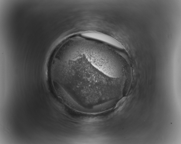X0000088230246200705292139