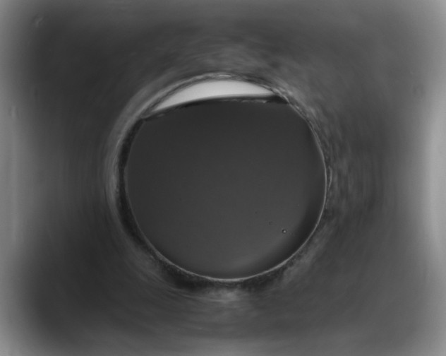X0000088230247200705292139