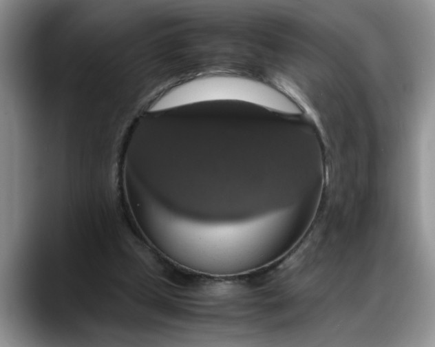 X0000088230249200705292139