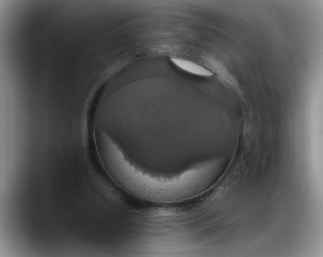 X0000088230250200705292139