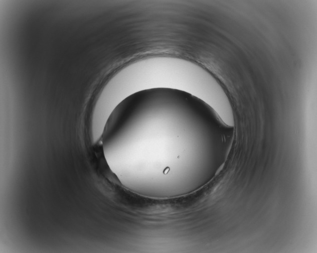 X0000088230252200705292139