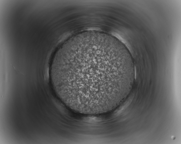 X0000088230253200705292139
