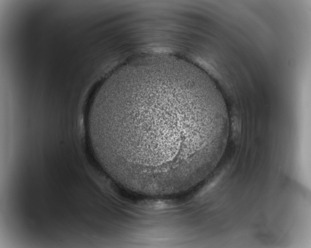 X0000088230254200705292139