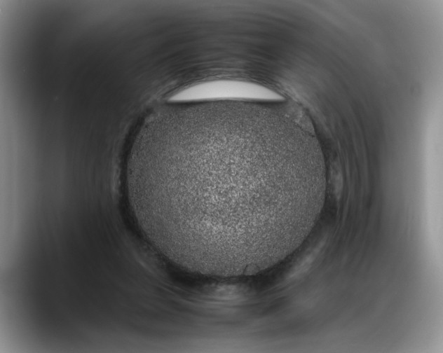 X0000088230255200705292139