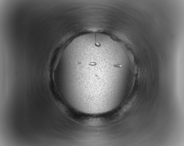 X0000088230256200705292139