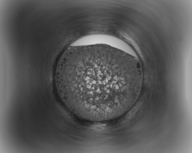 X0000088230257200705292139