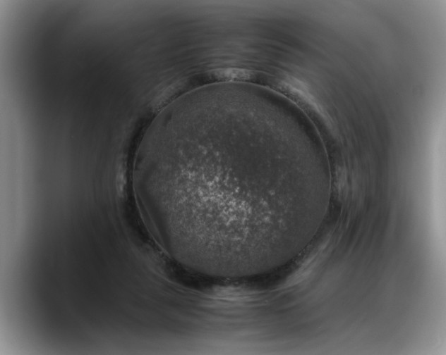 X0000088230259200705292140