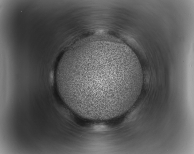 X0000088230262200705292140