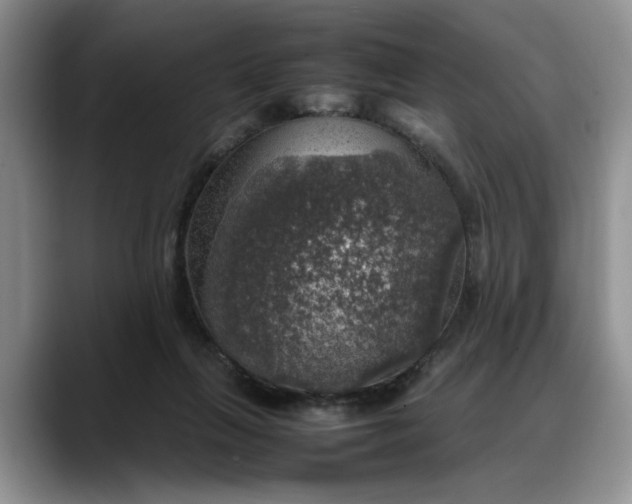 X0000088230263200705292140