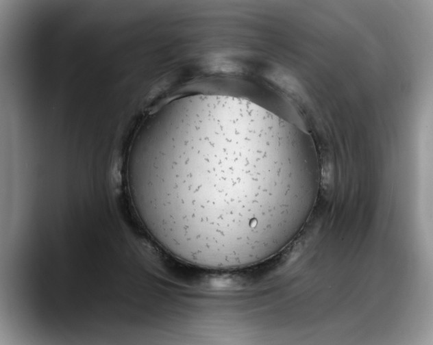 X0000088230264200705292140