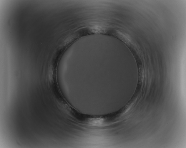 X0000088230266200705292140