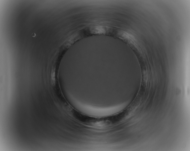 X0000088230267200705292140