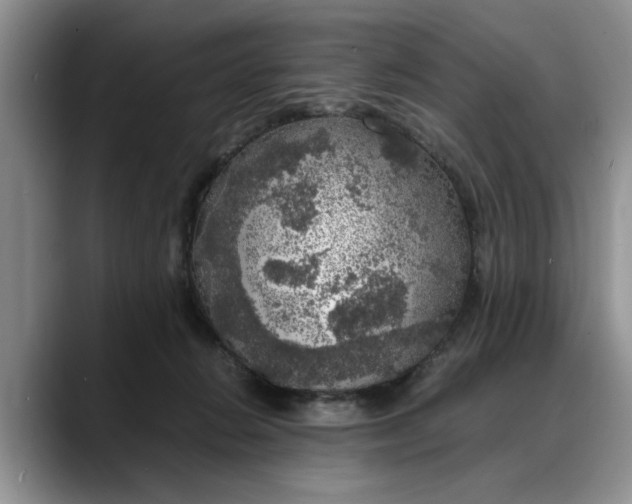 X0000088230270200705292140