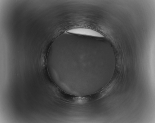 X0000088230273200705292140