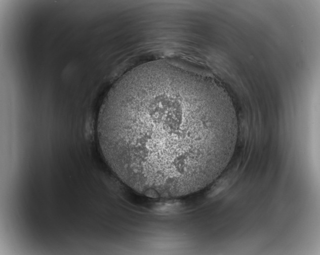 X0000088230274200705292140