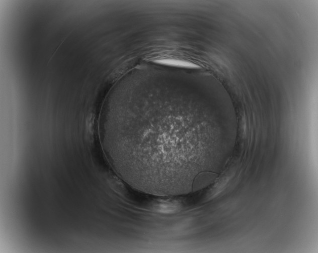 X0000088230275200705292140