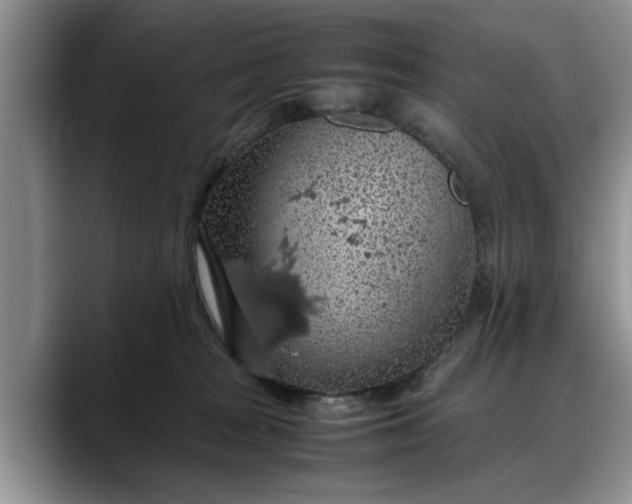 X0000088230277200705292140