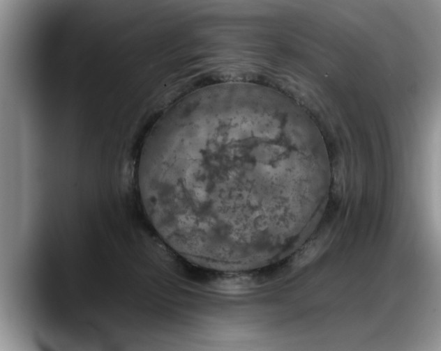 X0000088230278200705292140