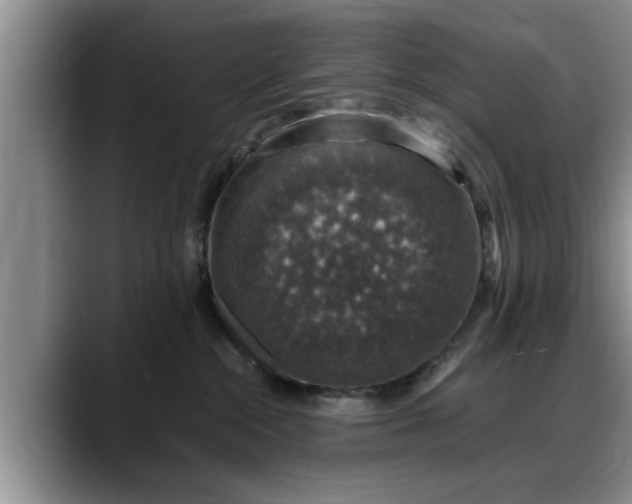 X0000088230284200705292140