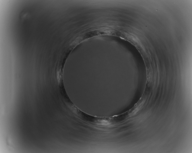 X0000088230285200705292140