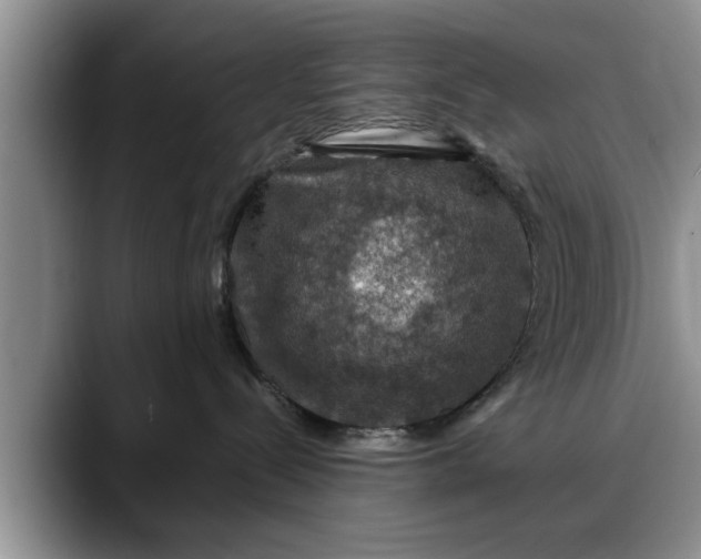 X0000088230288200705292140