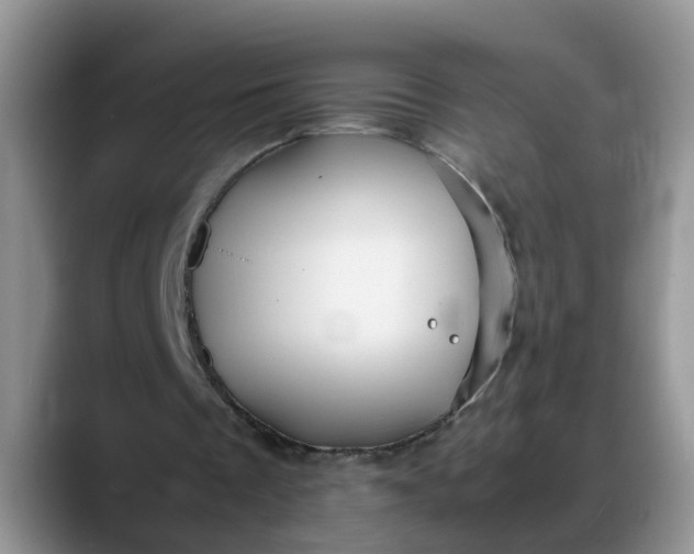 X0000088230289200705292139