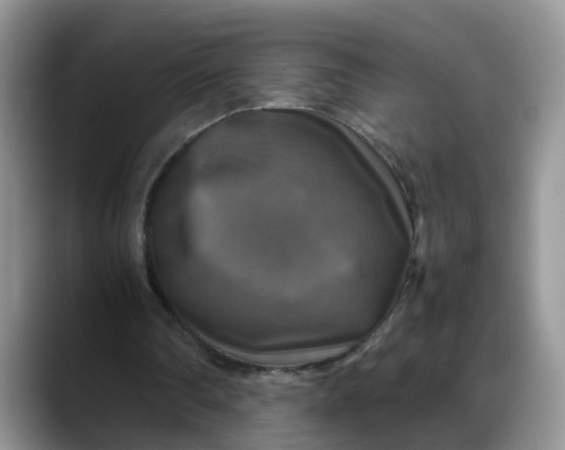 X0000088230290200705292139