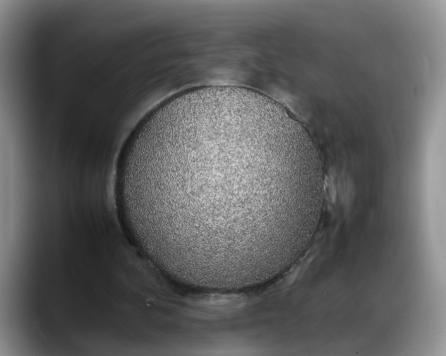 X0000088230292200705292139