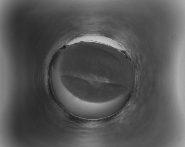 X0000088230293200705292139