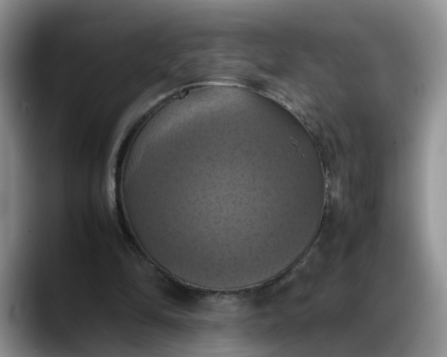 X0000088230294200705292139