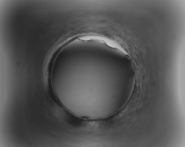 X0000088230295200705292139