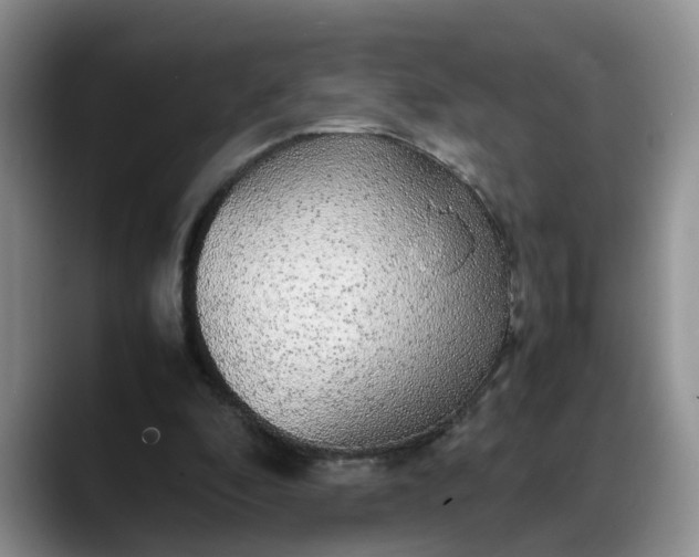X0000088230296200705292139