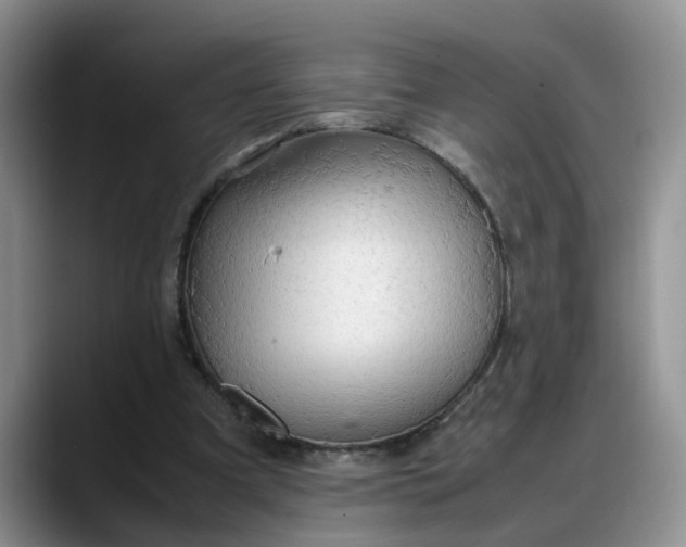 X0000088230297200705292139