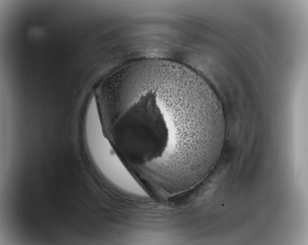 X0000088230299200705292139