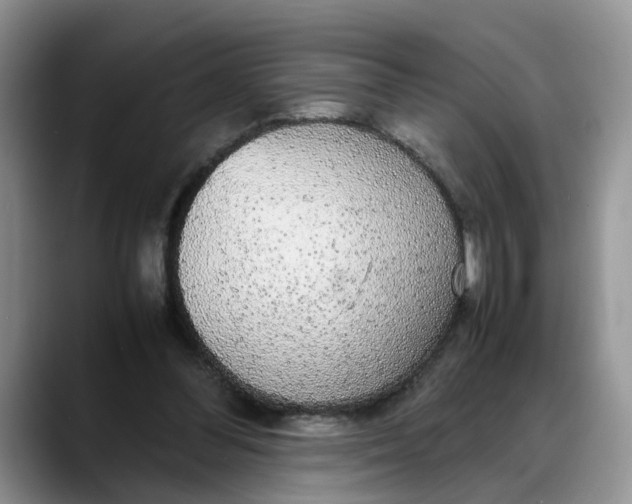 X0000088230300200705292139