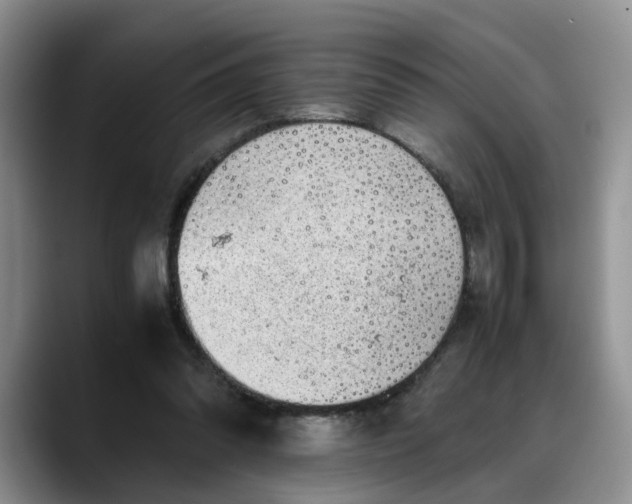 X0000088230302200705292139