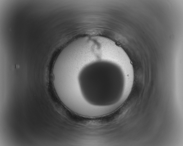 X0000088230303200705292139