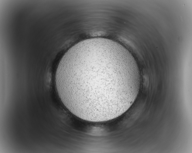 X0000088230308200705292139