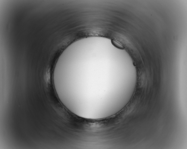 X0000088230310200705292139