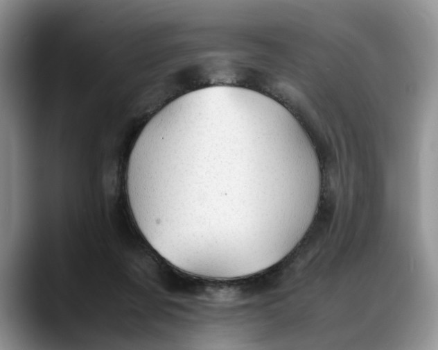 X0000088230311200705292139