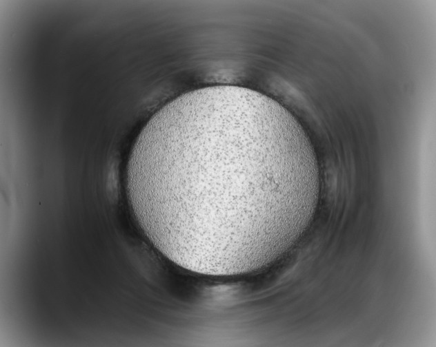 X0000088230312200705292139
