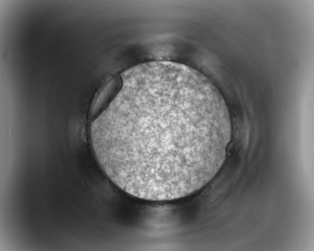 X0000088230313200705292139