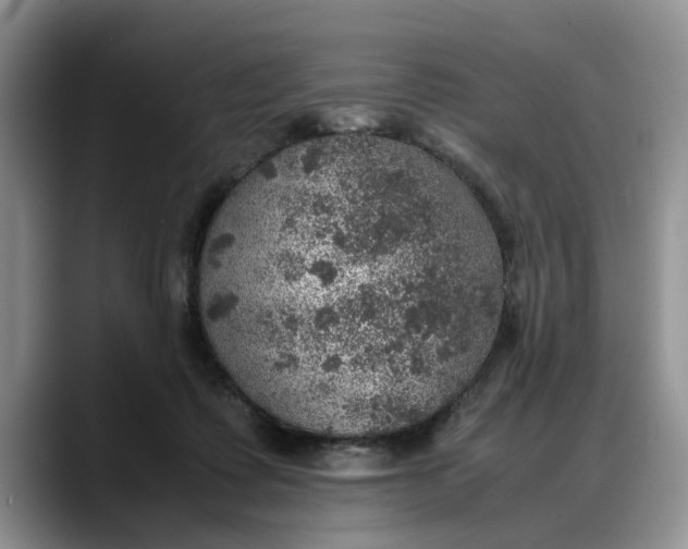 X0000088230315200705292139