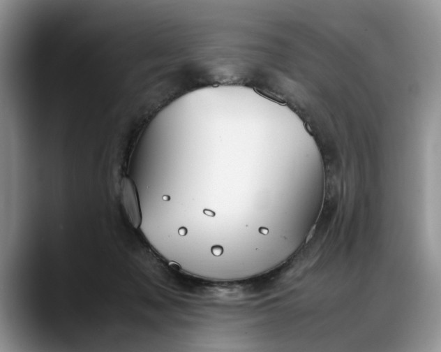 X0000088230317200705292139