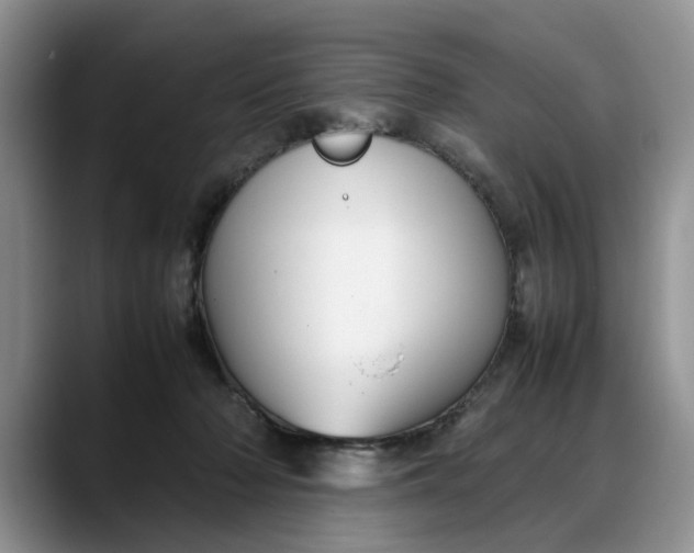 X0000088230318200705292139