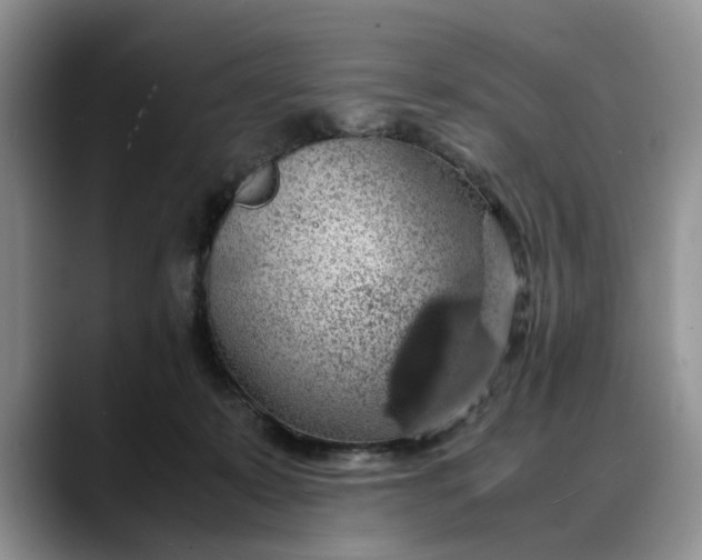 X0000088230319200705292139