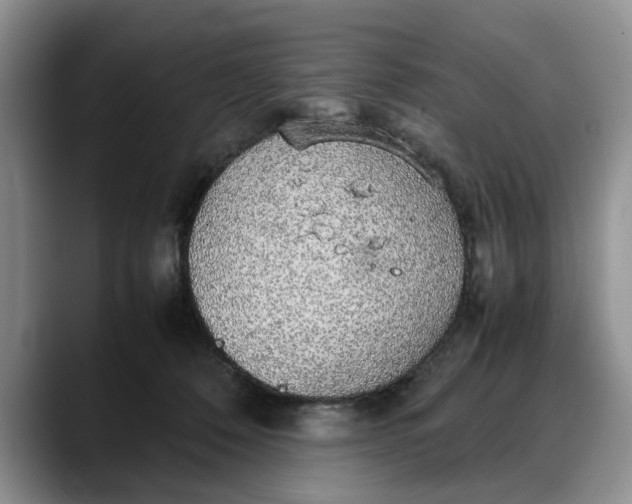 X0000088230320200705292139